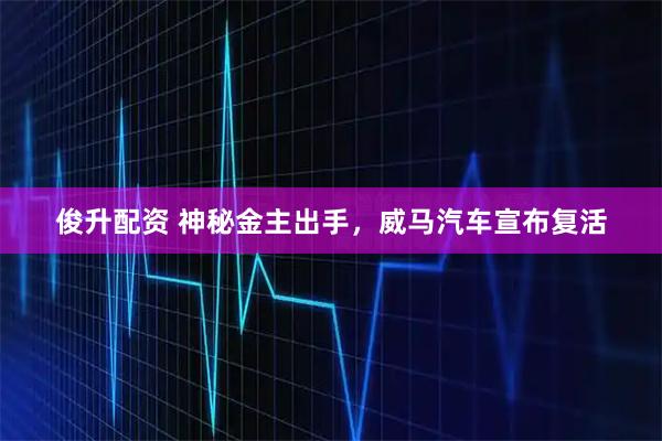 俊升配资 神秘金主出手，威马汽车宣布复活