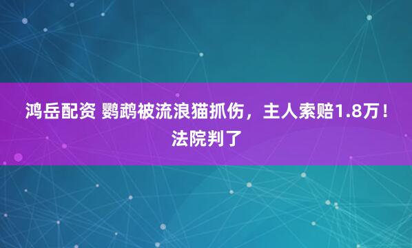 鸿岳配资 鹦鹉被流浪猫抓伤，主人索赔1.8万！法院判了