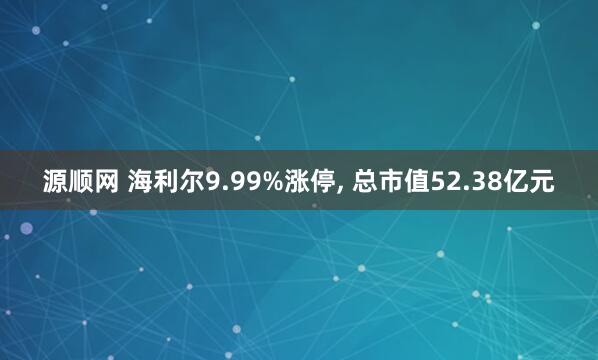 源顺网 海利尔9.99%涨停, 总市值52.38亿元